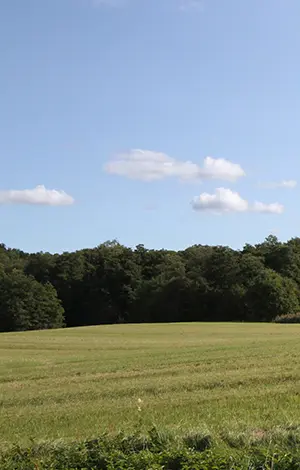 Grön äng mot blå himmel i Åsaka, Trollhättan