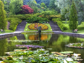 bilder från botaniska trädgården + Slottsskogen i Göteborg