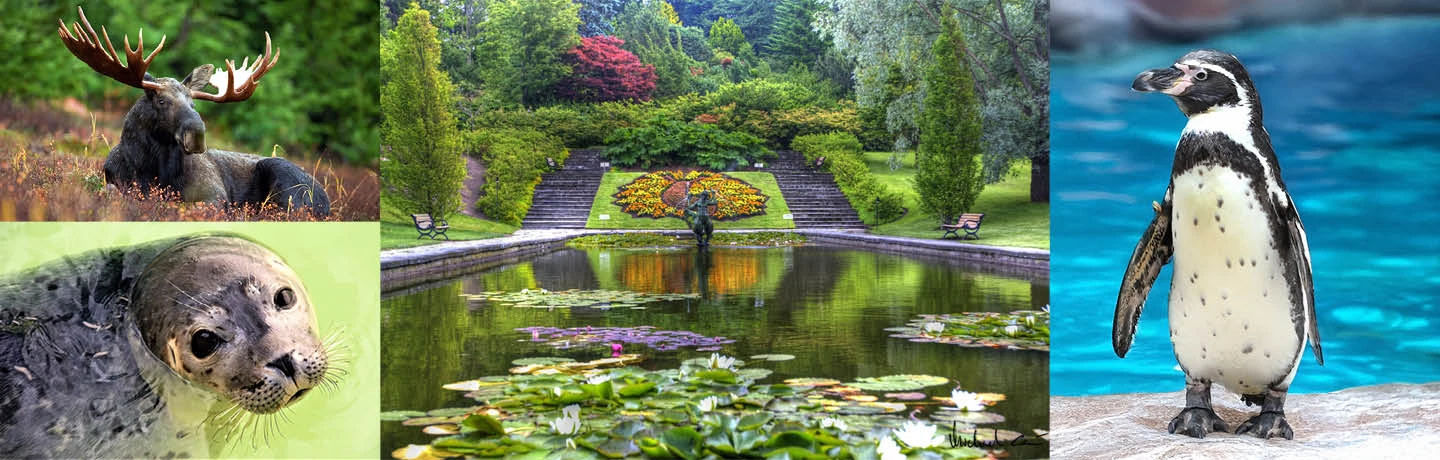 bilder från botaniska trädgården + Slottsskogen i Göteborg