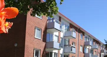 Bild på Björnbäret