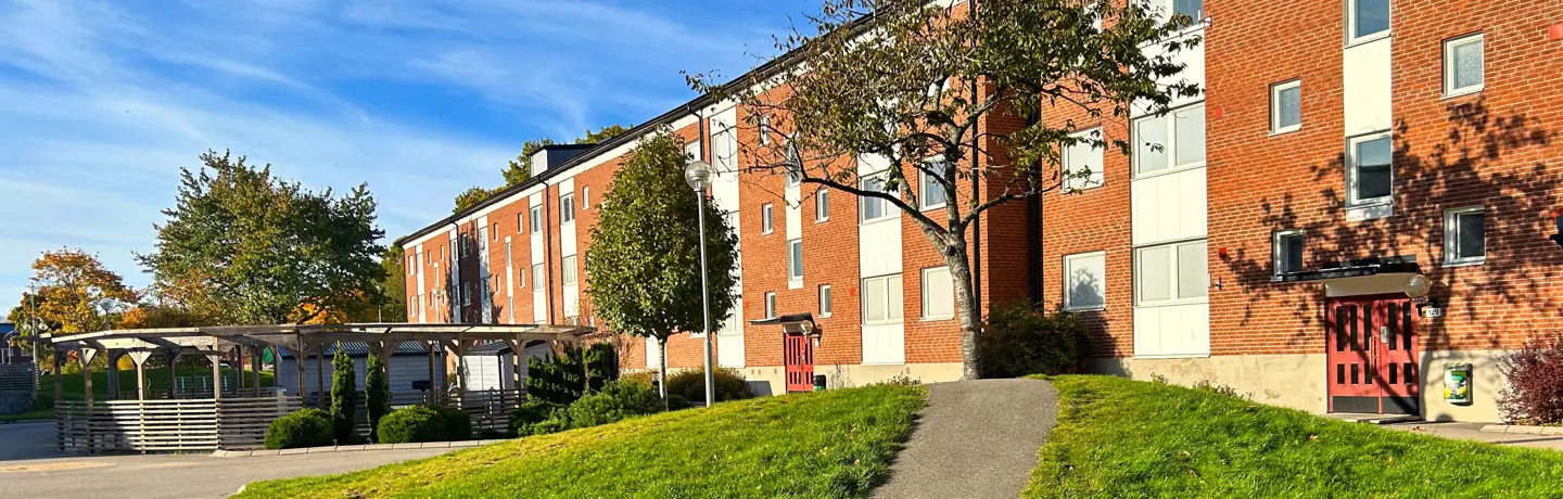 Bild på gård utanför hyreshus i Trollhättan