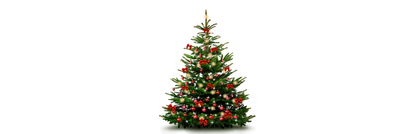 Julgran