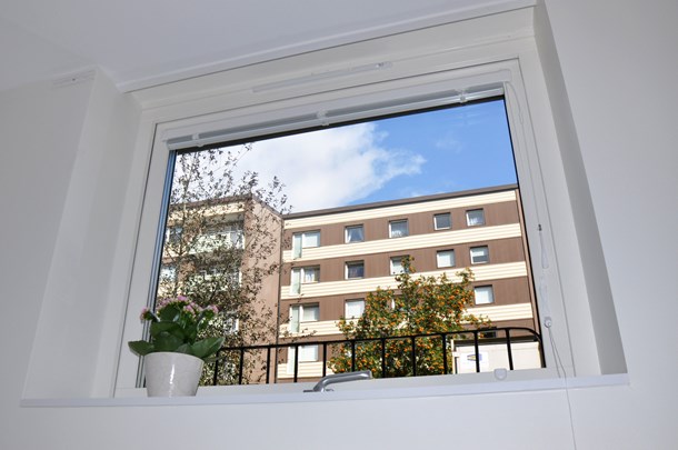 Ett fönster med en blomma i, utanför fönstret syns brungula höghus mot en blå himmel.