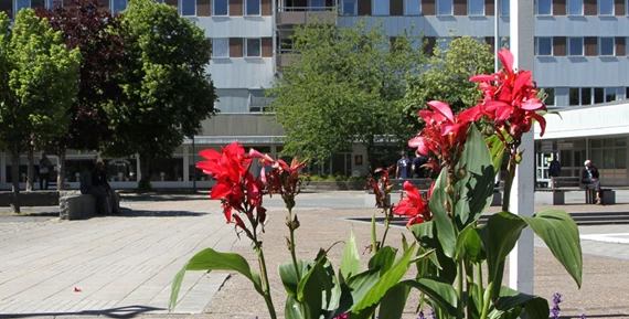 Kronogårdstorg i stadsdelen Kronogården i Trollhättan