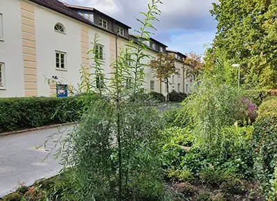 Nya fina växter i kvarteret Polisen