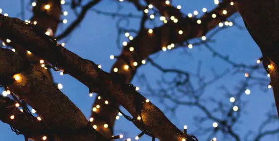 Julbelysning på snötäckta trädgrenar