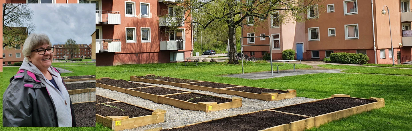 Hyresgästen Eva Bilstrup vid odlingslotterna i kvarteret Bäckelyckan