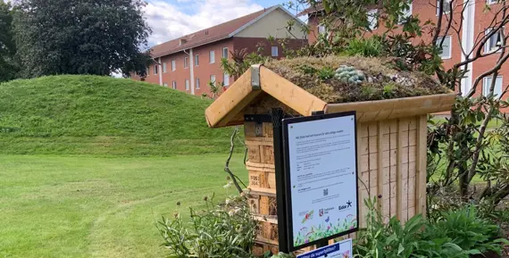 Mobilt insekthotell i kvarteret Humlan