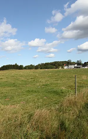 Blå himmel över en äng i Velanda, Trollhättan